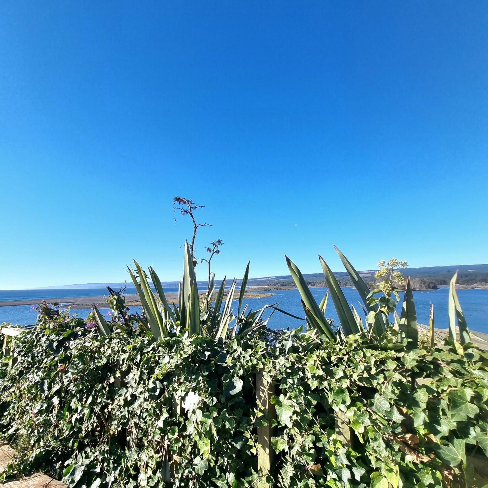Max & Mar Pichilemu Exteriör bild